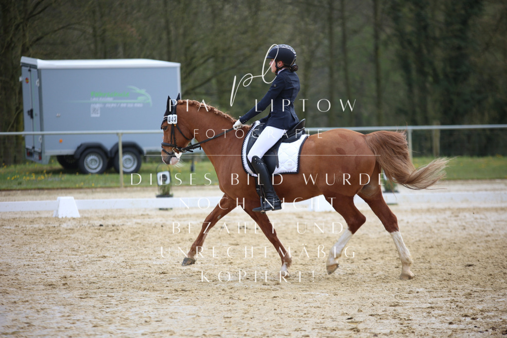 IMGT4072 | pl-fotografie