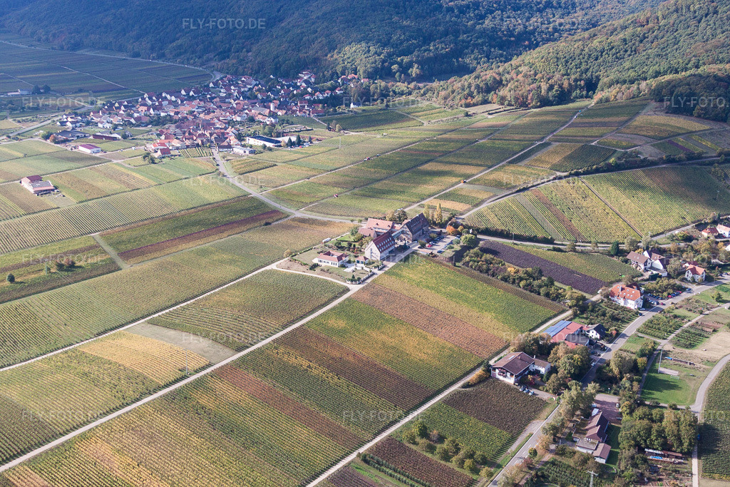 Luftbild: Leinsweiler Hof in Leinsweiler im Bundesland Rheinland-Pfalz in Deutschland. Foto: IMG_22363.jpg vom 15.10.2009 durch Werner Riehm/FLY-FOTO.de