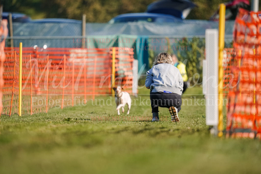 20250928_Hunderennen-58 | MuT (Mensch und Tier) mit Mona - Fotografie und Tierkommunikation - Realisiert mit Pictrs.com