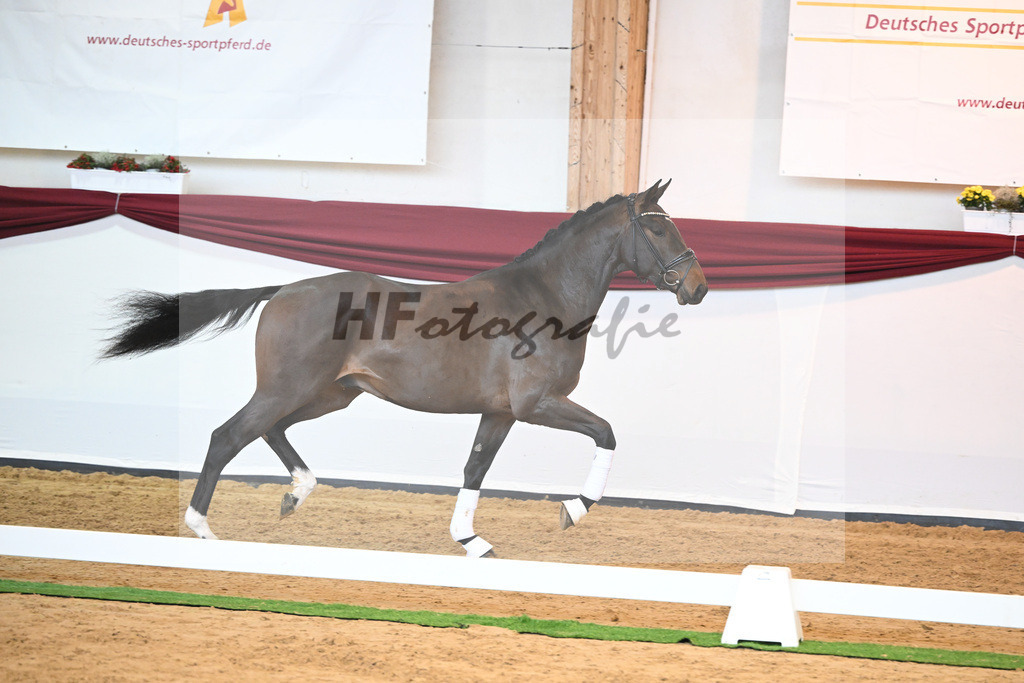 Kat-Nr. 43 v. Mykonos_Sommer_66220955 | hf-fotografie - Realisiert mit Pictrs.com