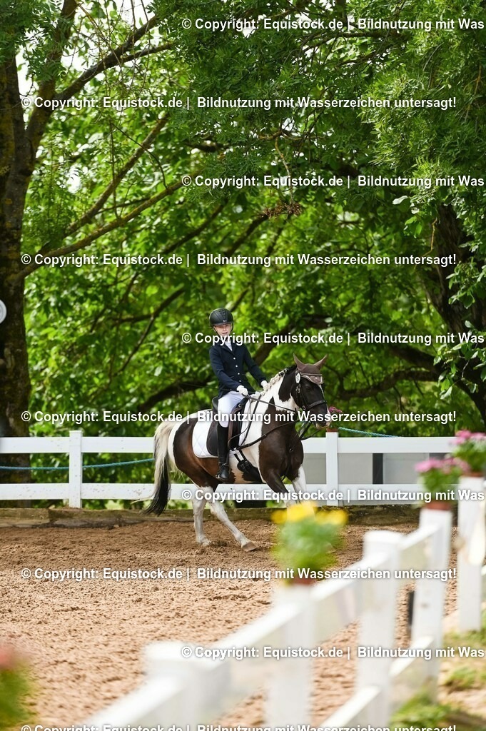 20230716_10-2_Reiter-WB Schritt - Trab - Galopp_0158 | equistock