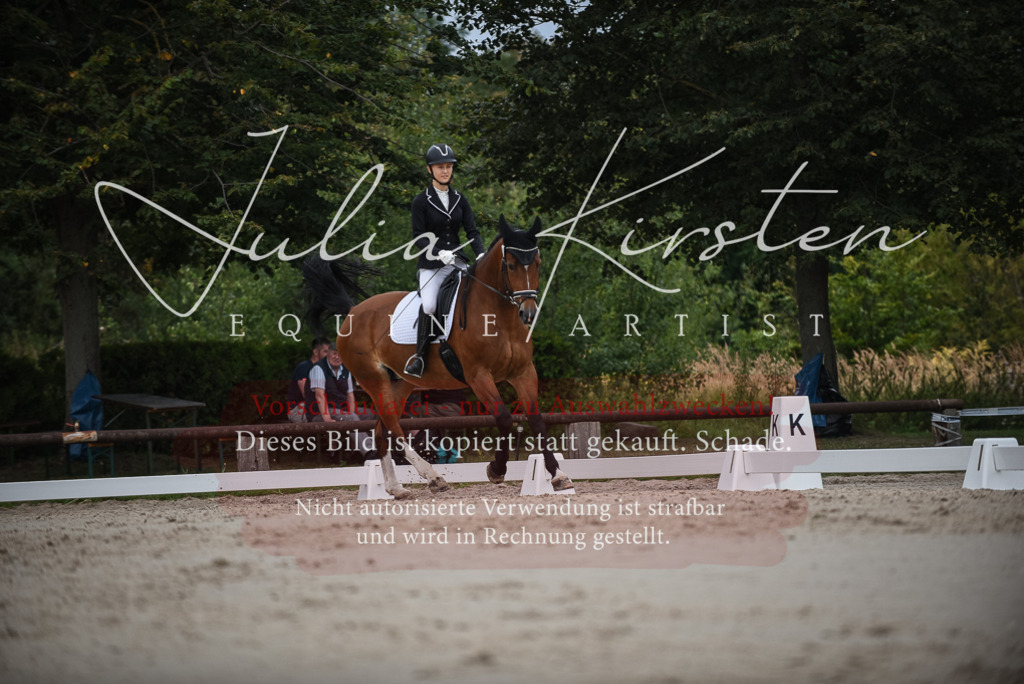 DSC_8266 | Pferde- und Turnierfotografie in Westsachsen. Pferdeportraits, Auftragszeichnungen und intuitive Kunst.
