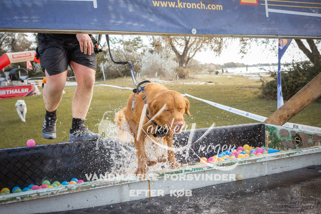 1324_ZZ90567-2 | kk-dogfotos