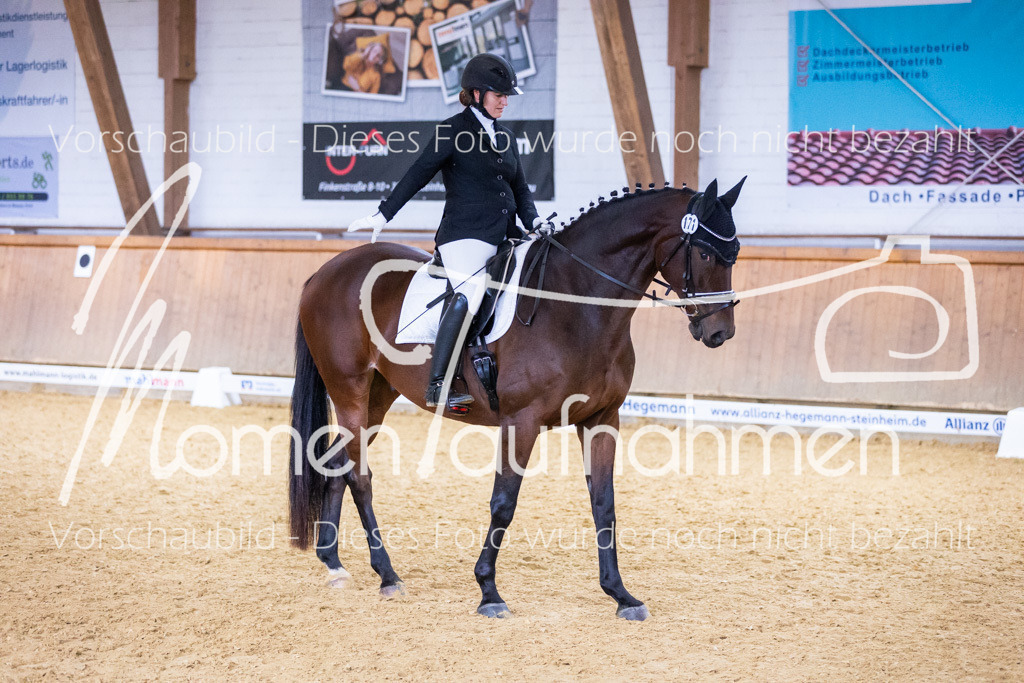 Sth-A-Dre-2St-003 | MomenTaufnahmen Pferdesportfotos