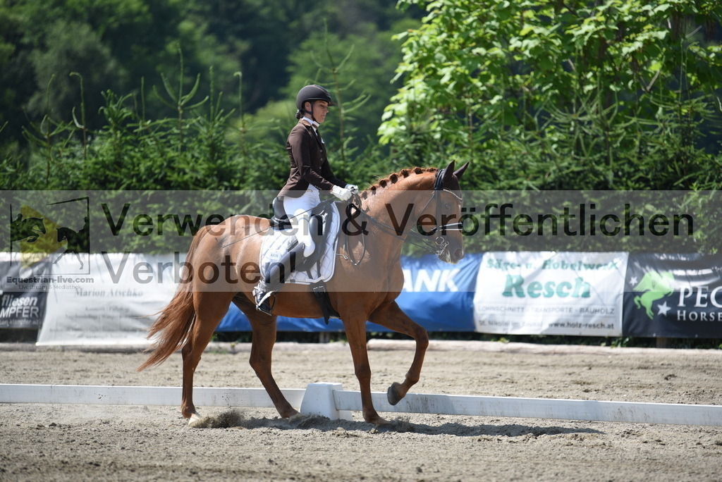 DSC_1466 | equestrian-live-com