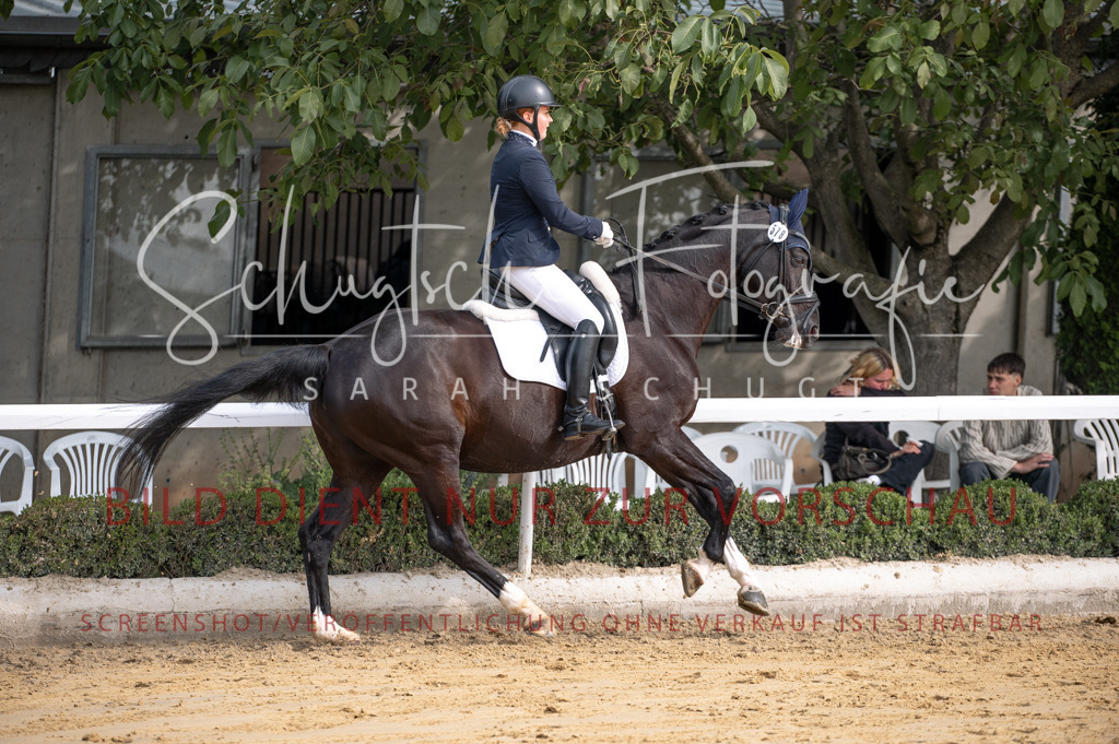 Schugtsche-Aluta25-40.DressurprfA_-169 | Schugtsche Fotografie - Realisiert mit Pictrs.com
