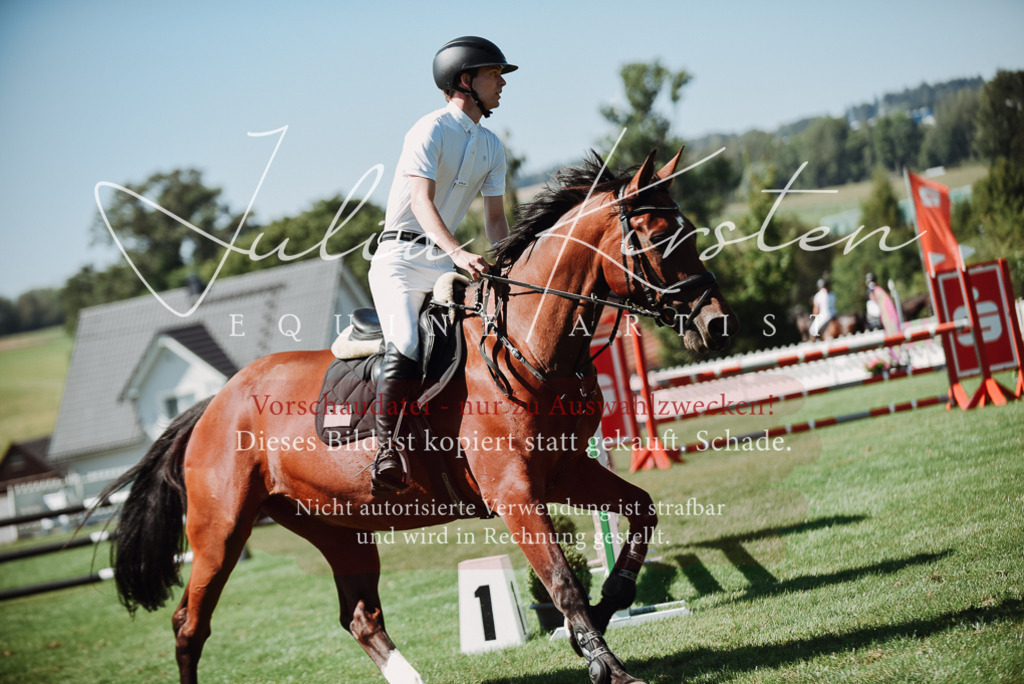 DSC_3154 | Pferde- und Turnierfotografie in Westsachsen. Pferdeportraits, Auftragszeichnungen und intuitive Kunst.