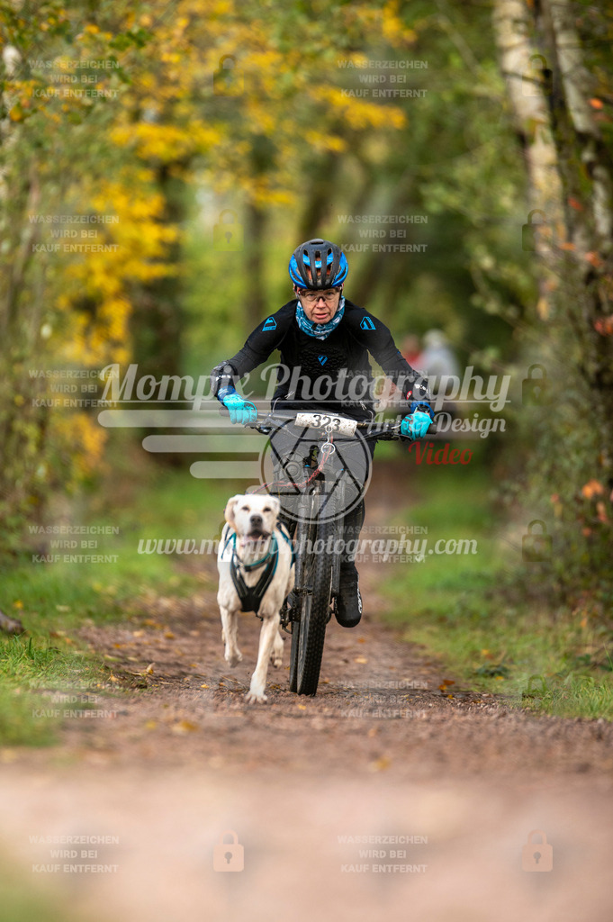 TSB_2023_E4_Bike-28 | PayLife