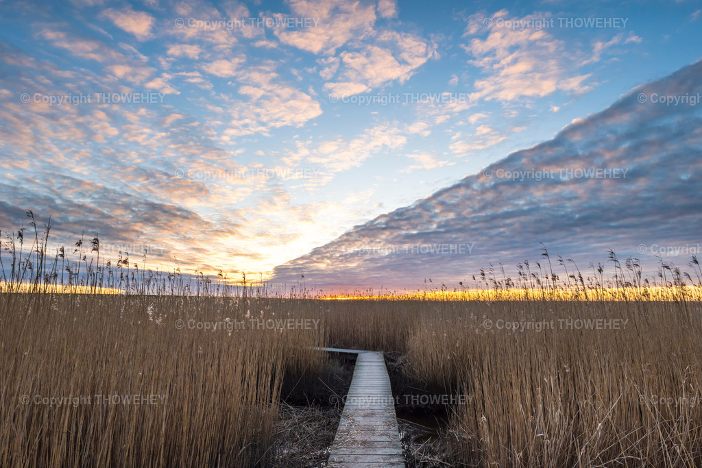 _1026802 | thowehey - Realisiert mit Pictrs.com