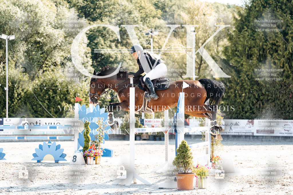 CK902538 | Turnierfotografie Pferdefotografie Trier Rheinland-Pfalz Pferdesport Reitsport Tierfotografie Sportfotografie Pferdevideo Pferdevideografie Equestrianvideography equestrianphotography  - Realisiert mit Pictrs.com