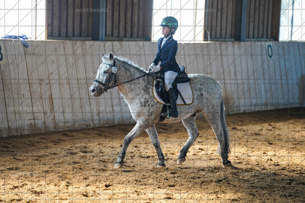 20230916-FAH08624 | Landsberg am Lech 2023, Turnierbildern, Turnierbilder Bayern, Reitsportfotograf, Pferdefotograf Bayern, Turnierfotos Landsberg, Fotoagentur Herrmann, Turnierfotografen Bayern