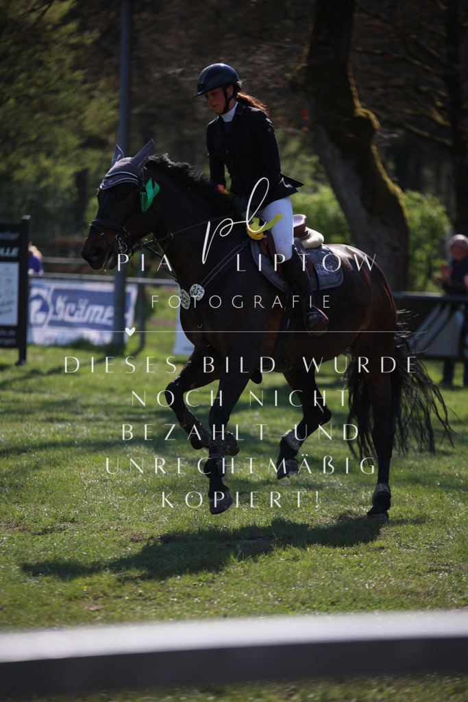 IMGT6092 | pl-fotografie