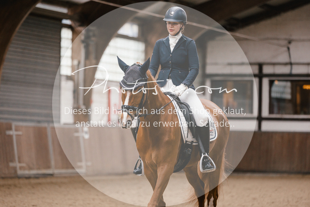 3I6A6740 | Stimmungsvolle Portraits und Reitsportfotografie im Ruhrgebiet und im Münsterland.

Pferdefotografie, Hundefotografie, Tierfotografie, Reportagen, Portraits von Tier und Mensch, Turnierfotografie in Bochum, Recklinghausen, Marl, Haltern am See, Dülmen.. - Realisiert mit Pictrs.com