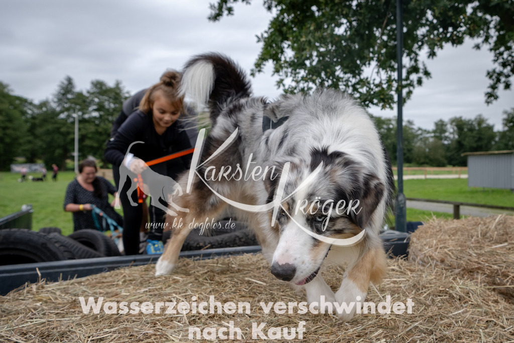 1300_ZZ92962 | kk-dogfotos