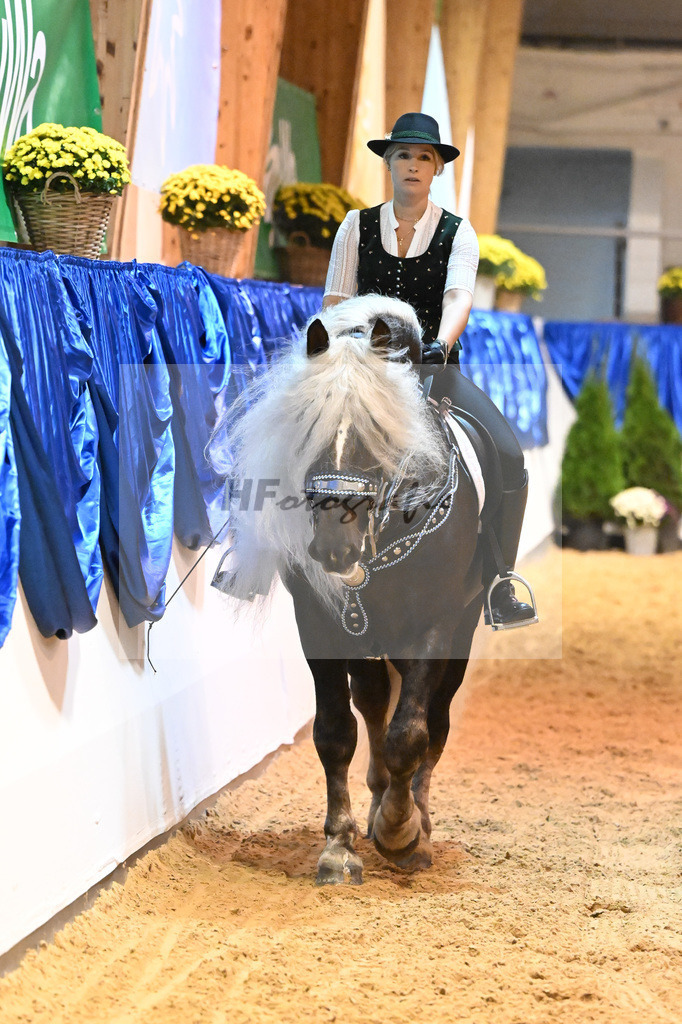 Schauprogramm_54222564 | hf-fotografie - Realisiert mit Pictrs.com