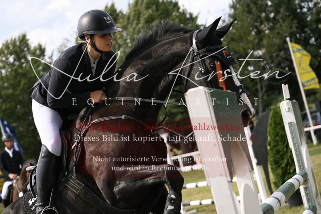 DSC_0829 | Pferde- und Turnierfotografie in Westsachsen. Pferdeportraits, Auftragszeichnungen und intuitive Kunst.