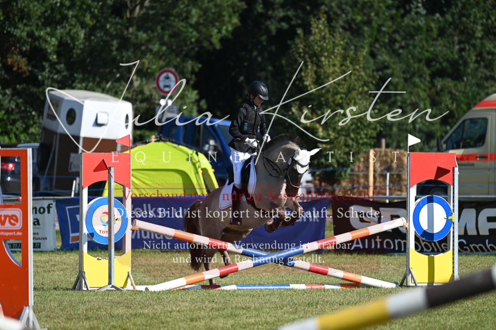 DSC_5236 | Pferde- und Turnierfotografie in Westsachsen. Pferdeportraits, Auftragszeichnungen und intuitive Kunst.