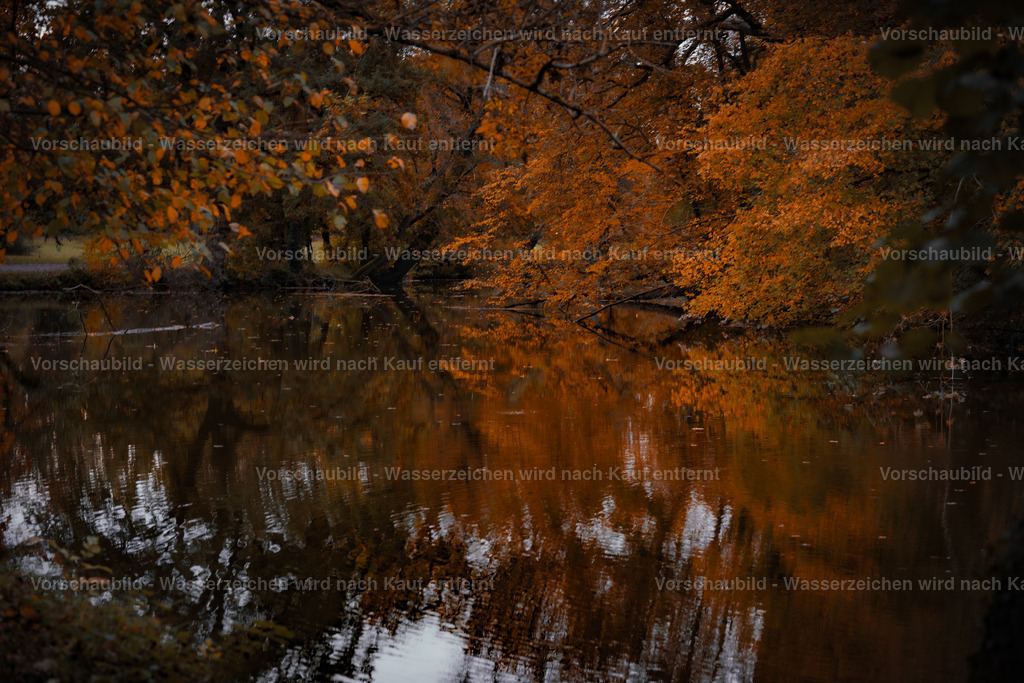 DSC06069-2 | marcuslinek