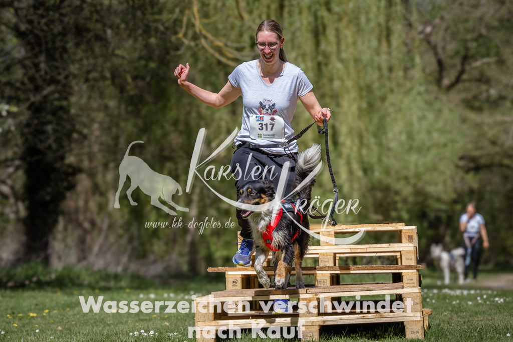 1242_ZZ93696 | kk-dogfotos