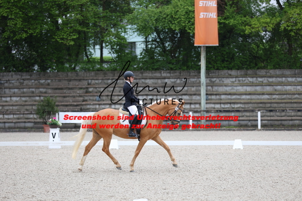 A40A7030 | lmwpictures - Realisiert mit Pictrs.com