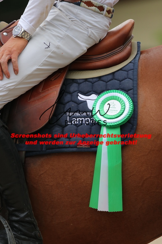 IMG_3047 | lmwpictures - Realisiert mit Pictrs.com