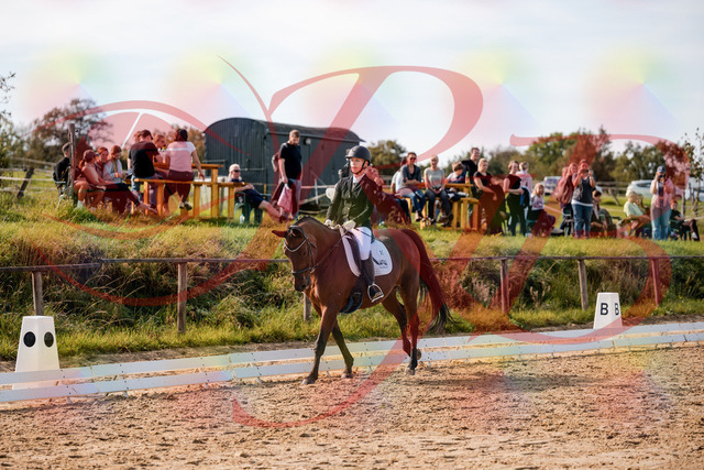 2026_10_03_Siefer-Hof_131049_Z63_74289684 | Professionelle Reitsport-, Turnier- und Eventfotografie von Robert Broda. Galerien mit ausgewählten und bearbeiteten Bildern direkt online ansehen und bestellen.