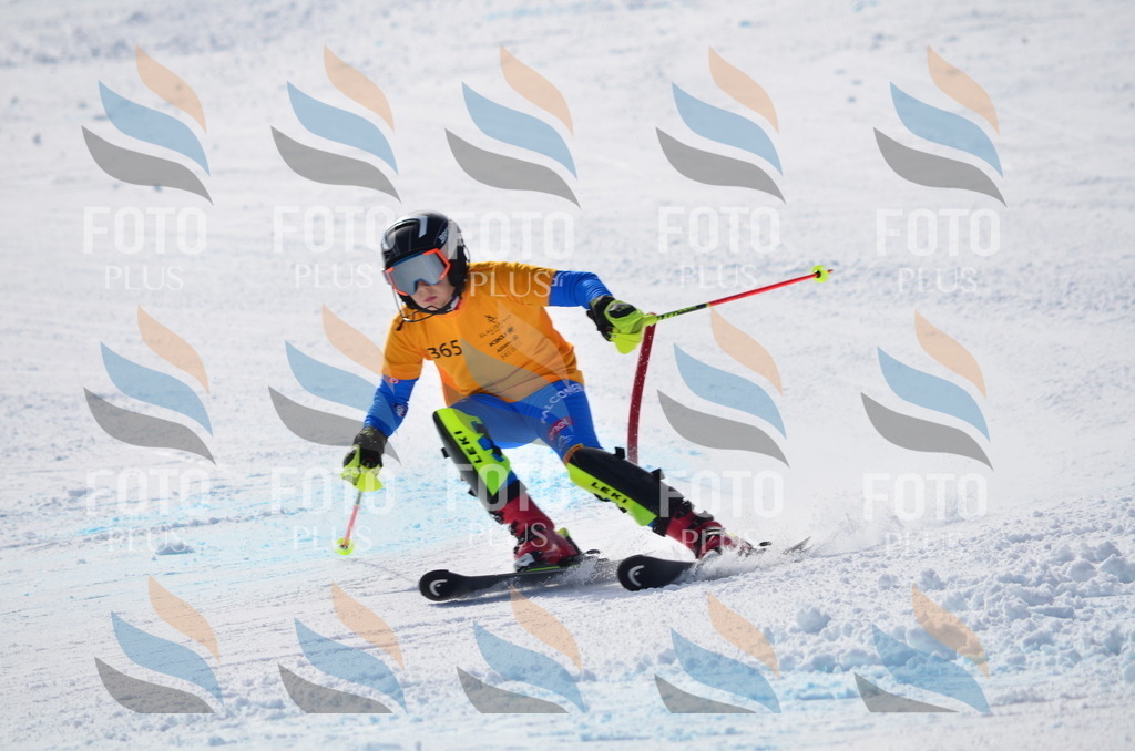 C9877 | holidayphoto