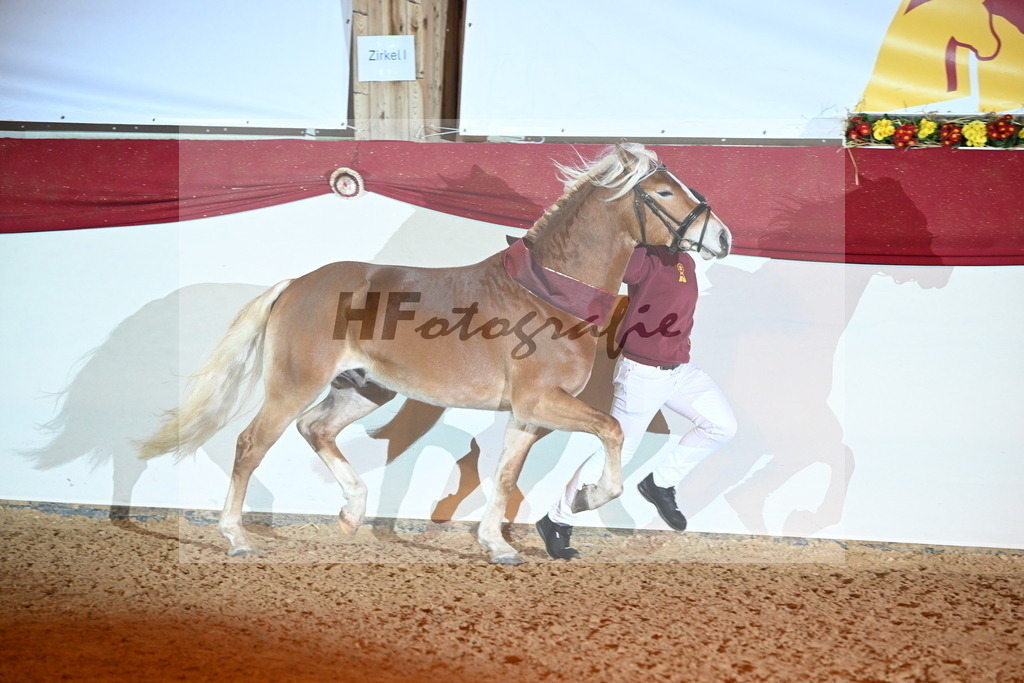 Stavaro_3262765 | hf-fotografie - Realisiert mit Pictrs.com