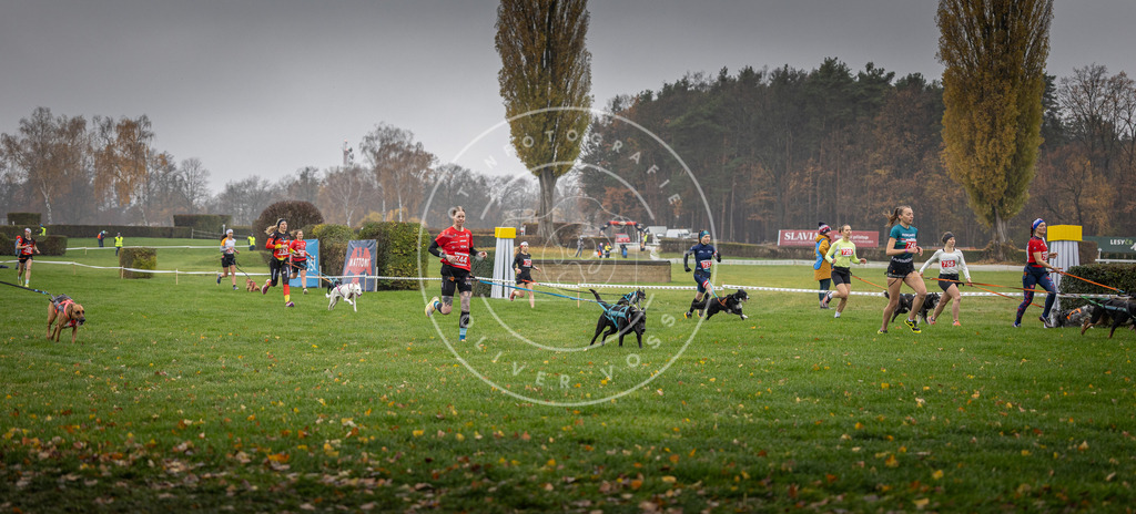 CaniXpix_DV3A8856 | Hundefotografie, Tierfotograf, Pfotenfotografie, Fotoshooting Hund, Hunde Portrait, Hundesport, Hundeportraits, Heideshooting, Hunde, Sportfotograf, Hundefotograf, Turnierhundsport, THS,  - Realisiert mit Pictrs.com
