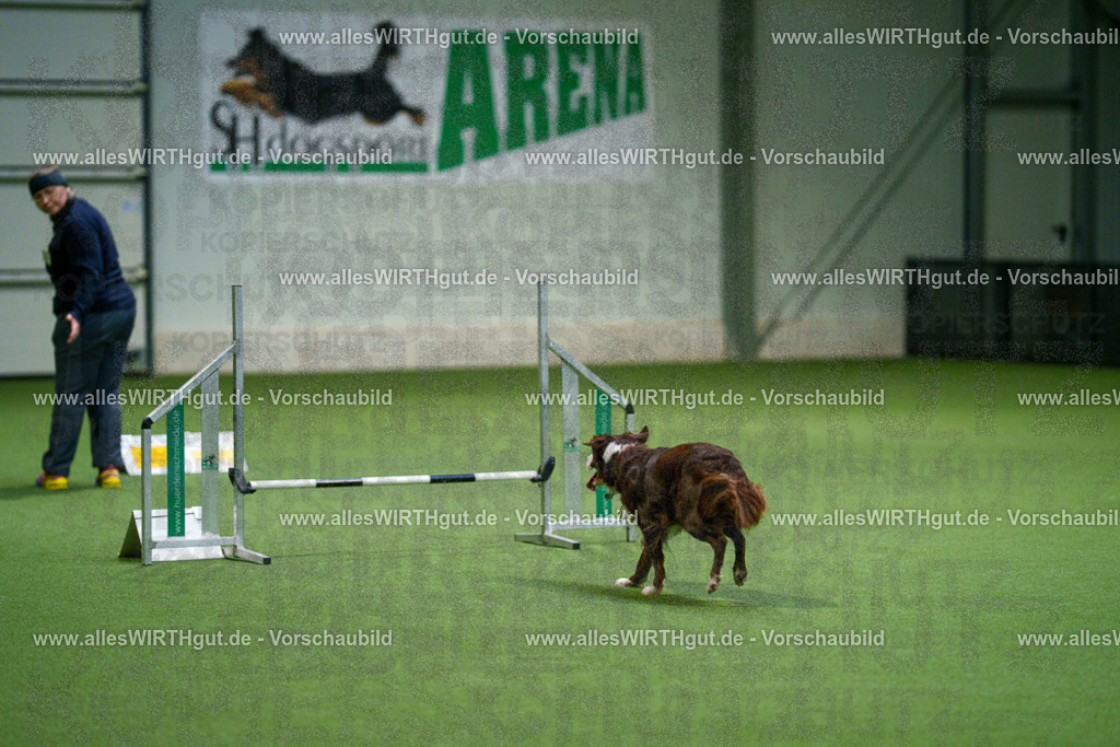 7R500094 | Professionelle Tierfotografie in Mönchengladbach von Daniel Wirth (allesWIRTHgut). Liebevolle & natürliche Bilder von Hunden & Katzen für unvergessliche Erinnerungen.