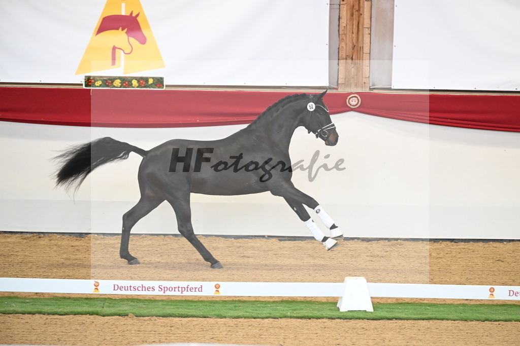 Kat.-Nr. 79 v. Taurus_Beckmann_2250354 | hf-fotografie - Realisiert mit Pictrs.com