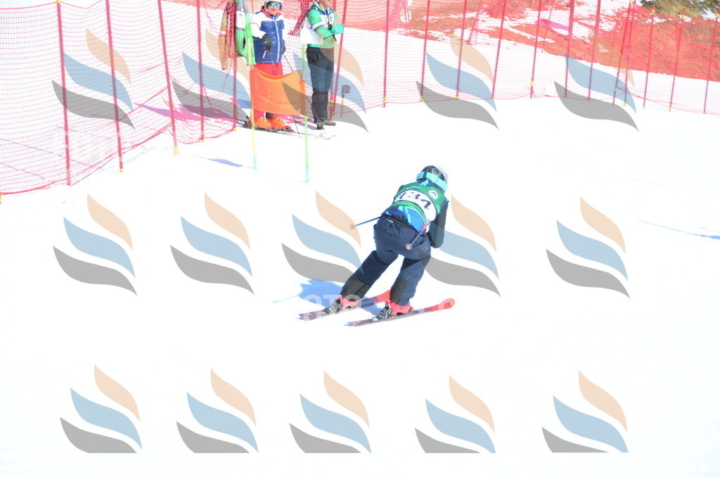 C5990 | holidayphoto