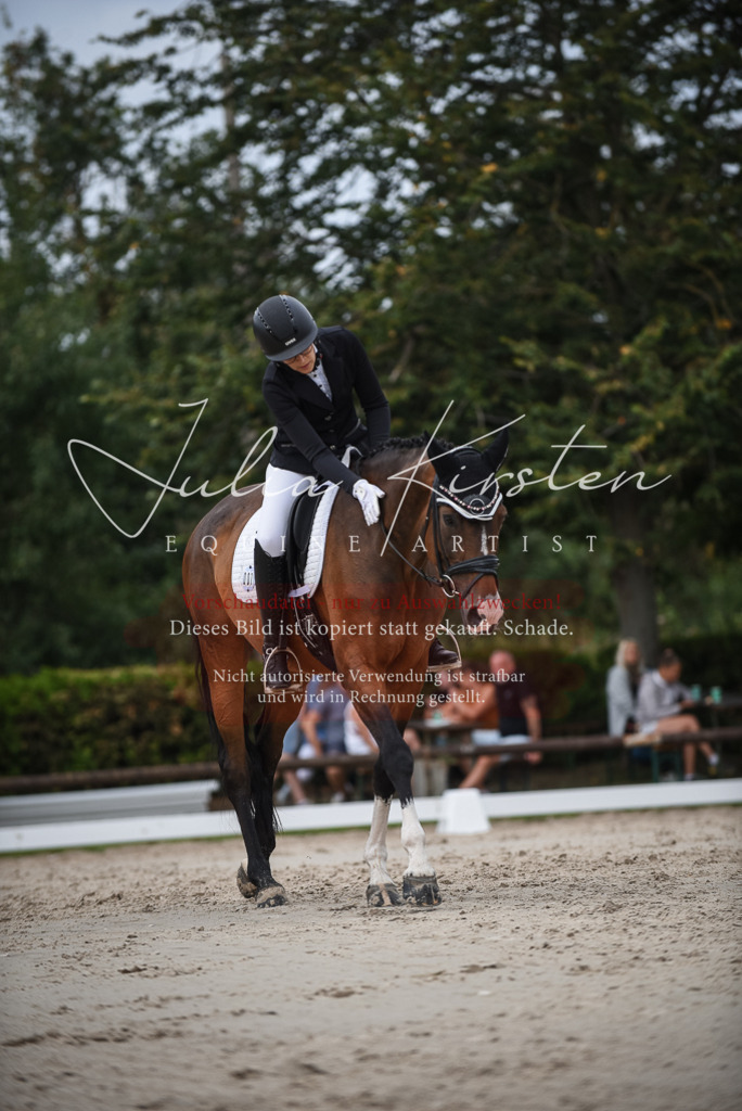 DSC_8572 | Pferde- und Turnierfotografie in Westsachsen. Pferdeportraits, Auftragszeichnungen und intuitive Kunst.