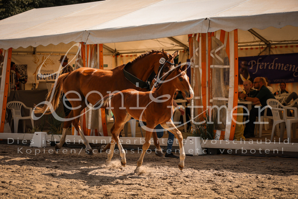 07.DoWBS00151 | Leoni Ertmer Photography - Realisiert mit Pictrs.com