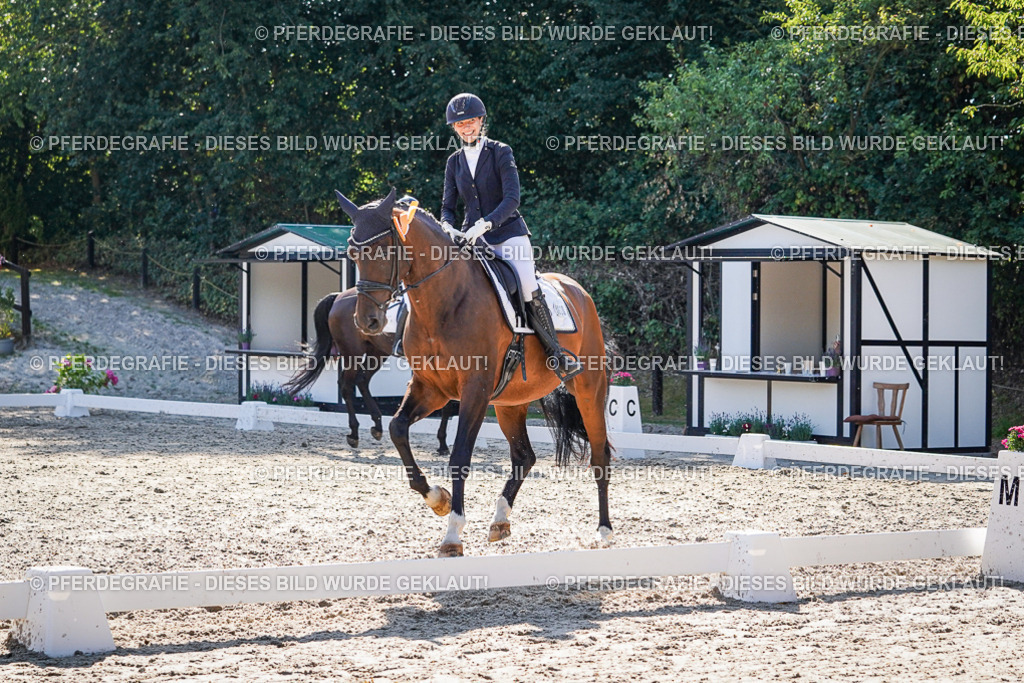 DSC00188 | Pferdegrafie