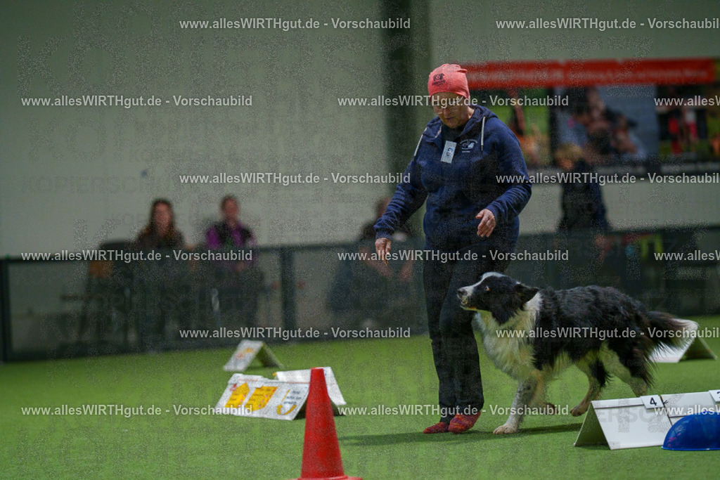 7R504563 | Professionelle Tierfotografie in Mönchengladbach von Daniel Wirth (allesWIRTHgut). Liebevolle & natürliche Bilder von Hunden & Katzen für unvergessliche Erinnerungen.