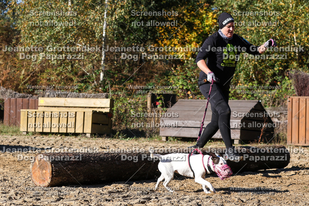 Dog Paparazzi - Strongdog 10-25-2274 | Dog Paparazzi Jeanette Grottendiek Fotografie & Videografie - Realisiert mit Pictrs.com