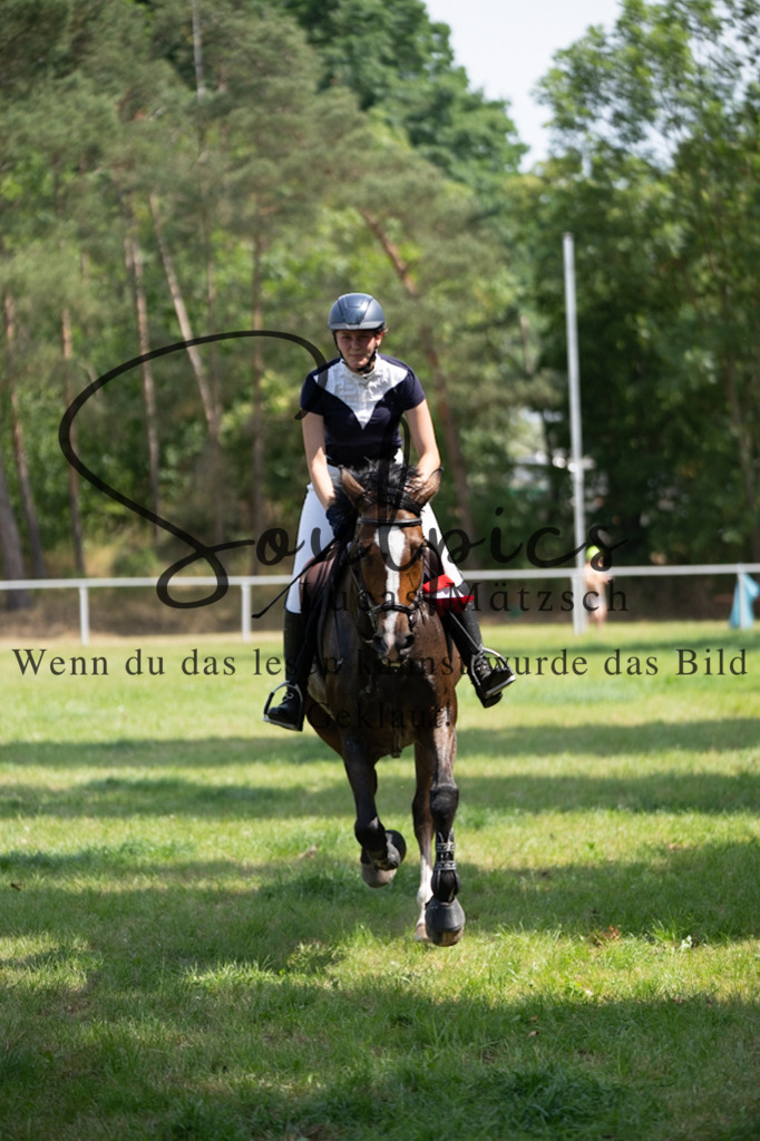 A7V07386 | Pferdefotograf