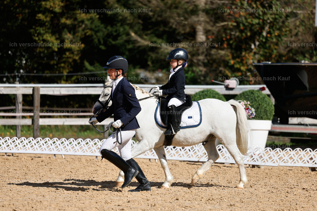 01--Ponyführzügel -StoibPH-6826 | working equitationturnier fotograf videograf stoibphotography marixx film working equitation deutschland reitsport turnierfotografie eventfotografie equestrian events