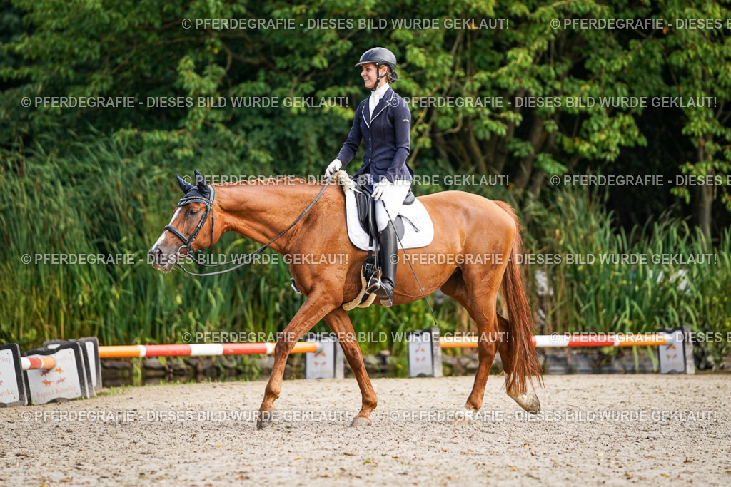 DSC00635 | Pferdegrafie