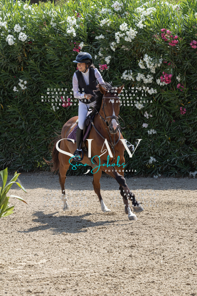 IMG_3821 | s-jay-photography - Realisiert mit Pictrs.com