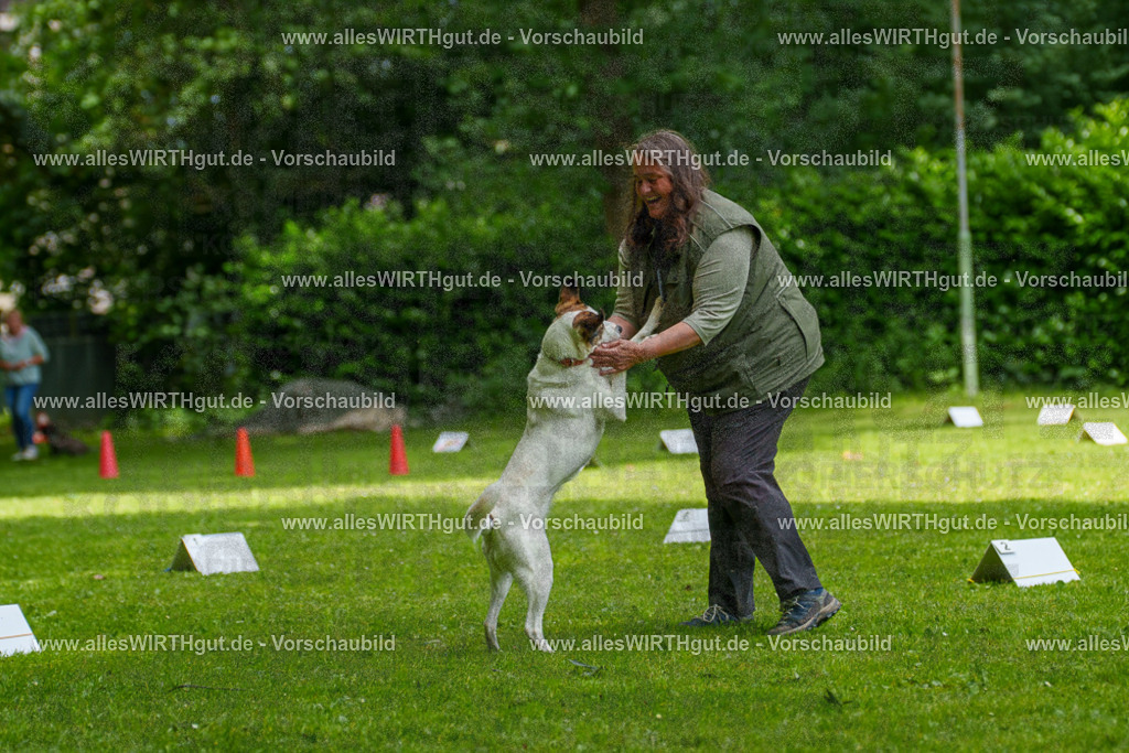 @allesWIRTHgut_Tierfotografie - www.allesWIRTHgut.de - 7R504393 | Professionelle Tierfotografie in Mönchengladbach von Daniel Wirth (allesWIRTHgut). Liebevolle & natürliche Bilder von Hunden & Katzen für unvergessliche Erinnerungen.