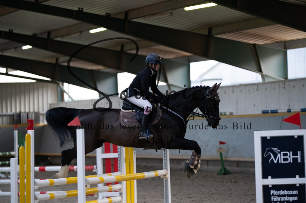 A7V02639 | Pferdefotograf