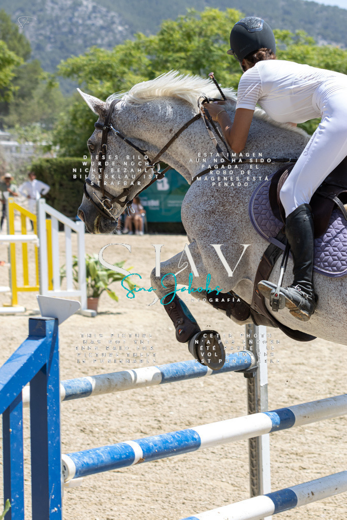 IMG_7730 | s-jay-photography - Realisiert mit Pictrs.com