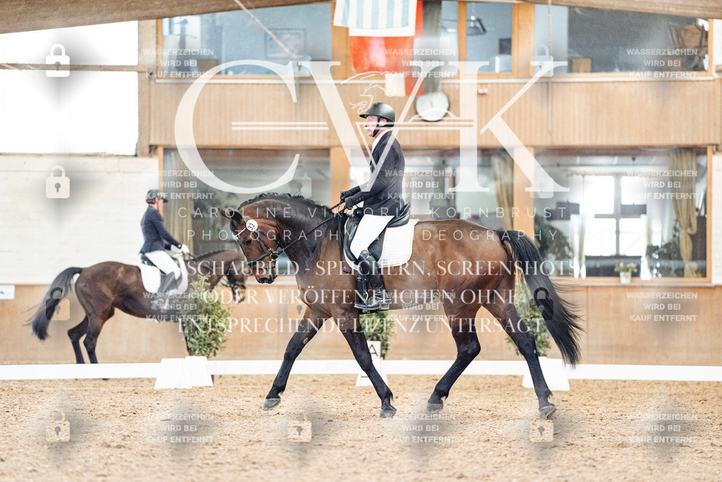 CK909017 | Turnierfotografie Pferdefotografie Trier Rheinland-Pfalz Pferdesport Reitsport Tierfotografie Sportfotografie Pferdevideo Pferdevideografie Equestrianvideography equestrianphotography  - Realisiert mit Pictrs.com