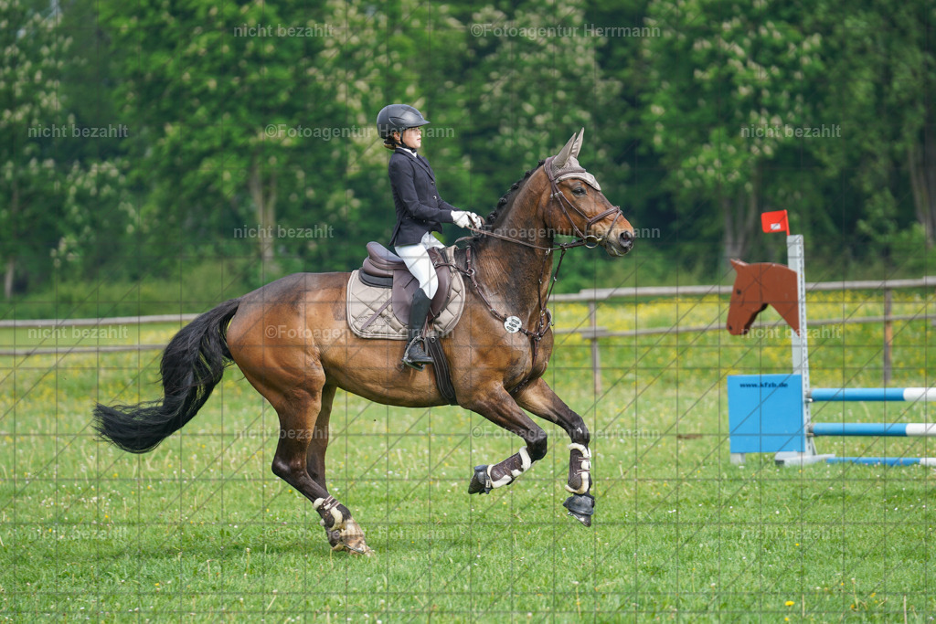 20240509-FAH02147 | Turnierbilder der Turnierfotografen Bayern, Pferdesport Fotografie, Reitsportbilder, Turnier Landberg am Lech, Turnierbilder bayern, Fotoagentur Herrmann