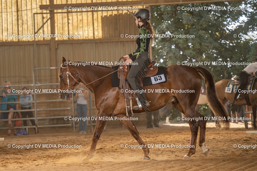 NID03056 | dv-media-shop - Realisiert mit Pictrs.com