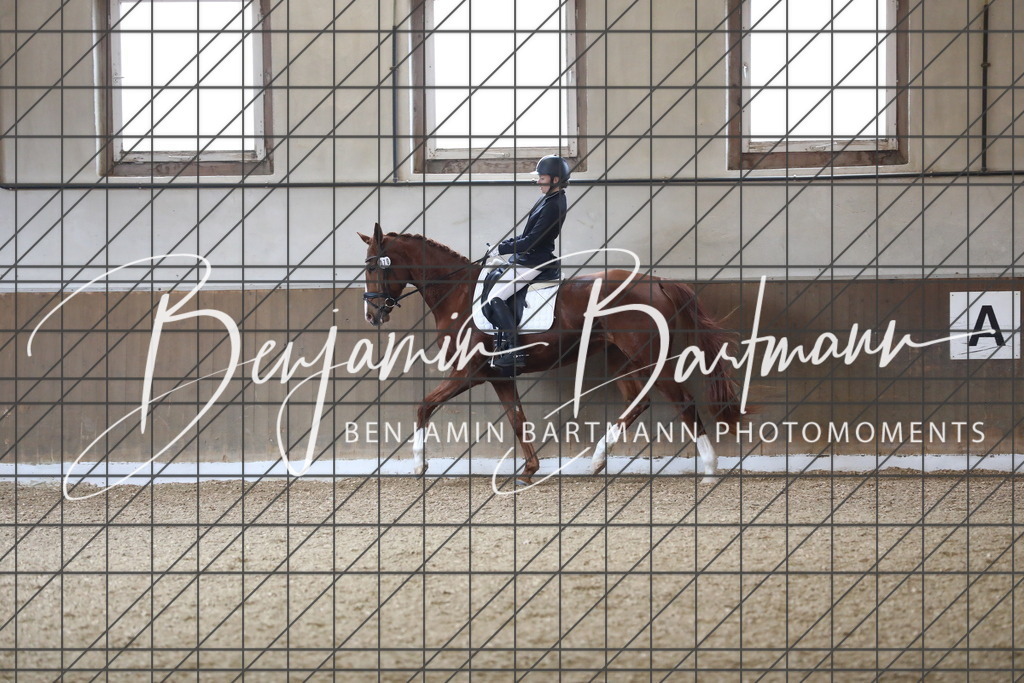 AZ2A0902 | Benjamin Bartmann Photomoments