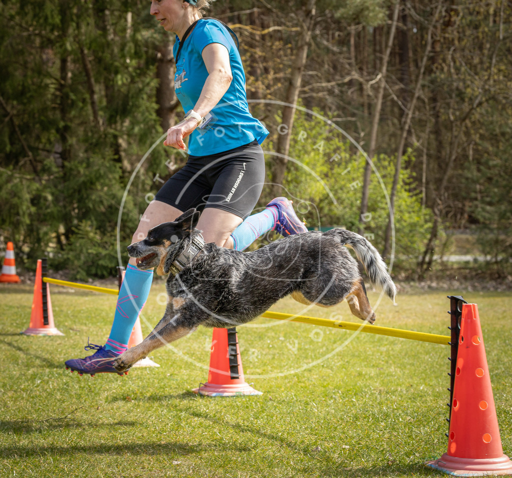 Pfotenfotografie_DV3A6547 | Hundefotografie, Tierfotograf, Pfotenfotografie, Fotoshooting Hund, Hunde Portrait, Hundesport, Hundeportraits, Heideshooting, Hunde, Sportfotograf, Hundefotograf, Turnierhundsport, THS,  - Realisiert mit Pictrs.com