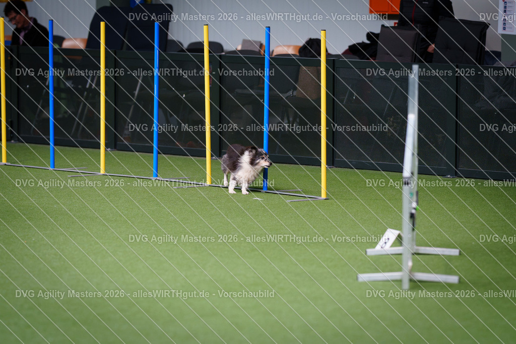 allesWIRTHgut_Tierfotografie-DVG_Agility_Masters_2026-12_34-7R508701 | Professionelle Tierfotografie in Mönchengladbach von Daniel Wirth (allesWIRTHgut). Liebevolle & natürliche Bilder von Hunden & Katzen für unvergessliche Erinnerungen.